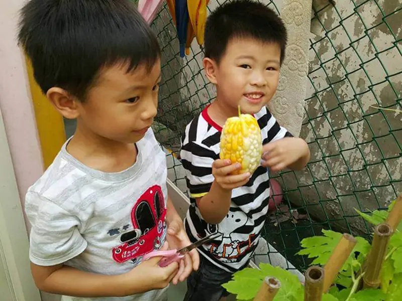 開心農場，我們種苦瓜耶~