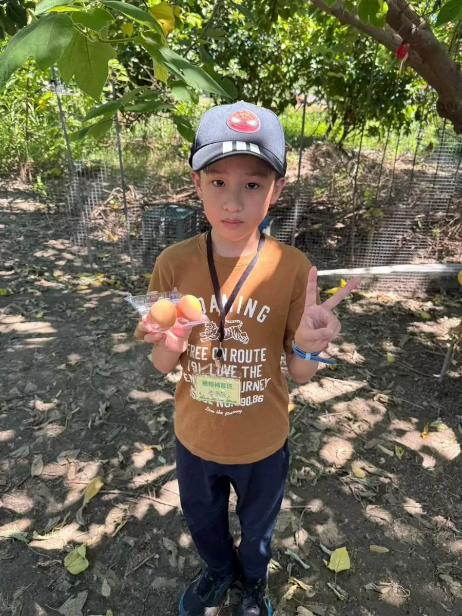🌞🎉【國小夏令營|溝貝休閒農莊冒險趣】🐰🌿 🌞🎉【國小夏令營|溝貝休閒農莊冒險趣】🐰🌿