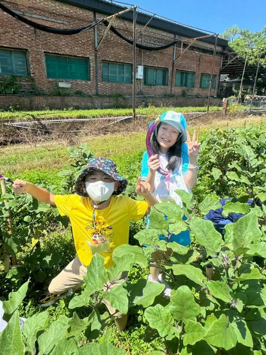 🌞🎉【國小夏令營|溝貝休閒農莊冒險趣】🐰🌿 🌞🎉【國小夏令營|溝貝休閒農莊冒險趣】🐰🌿
