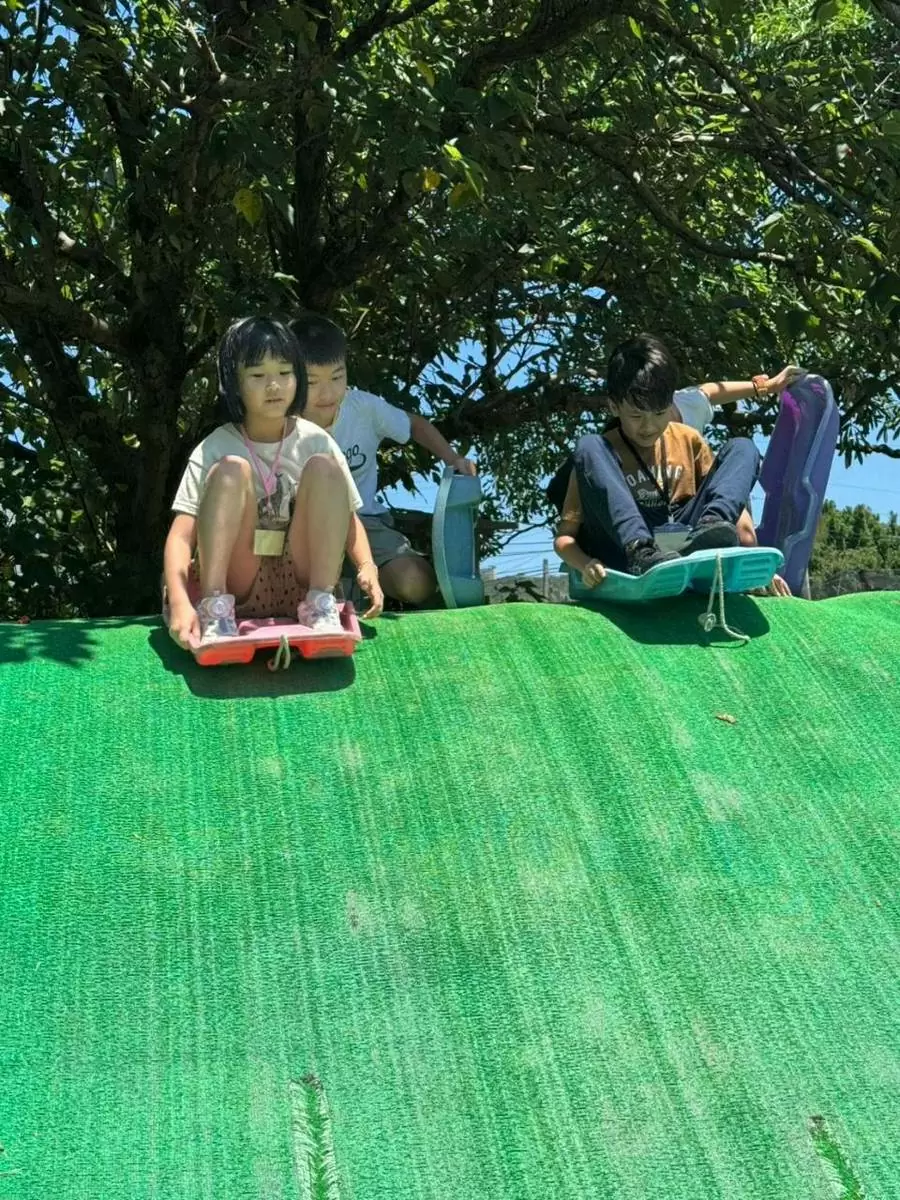 🌞🎉【國小夏令營|溝貝休閒農莊冒險趣】🐰🌿 🌞🎉【國小夏令營|溝貝休閒農莊冒險趣】🐰🌿
