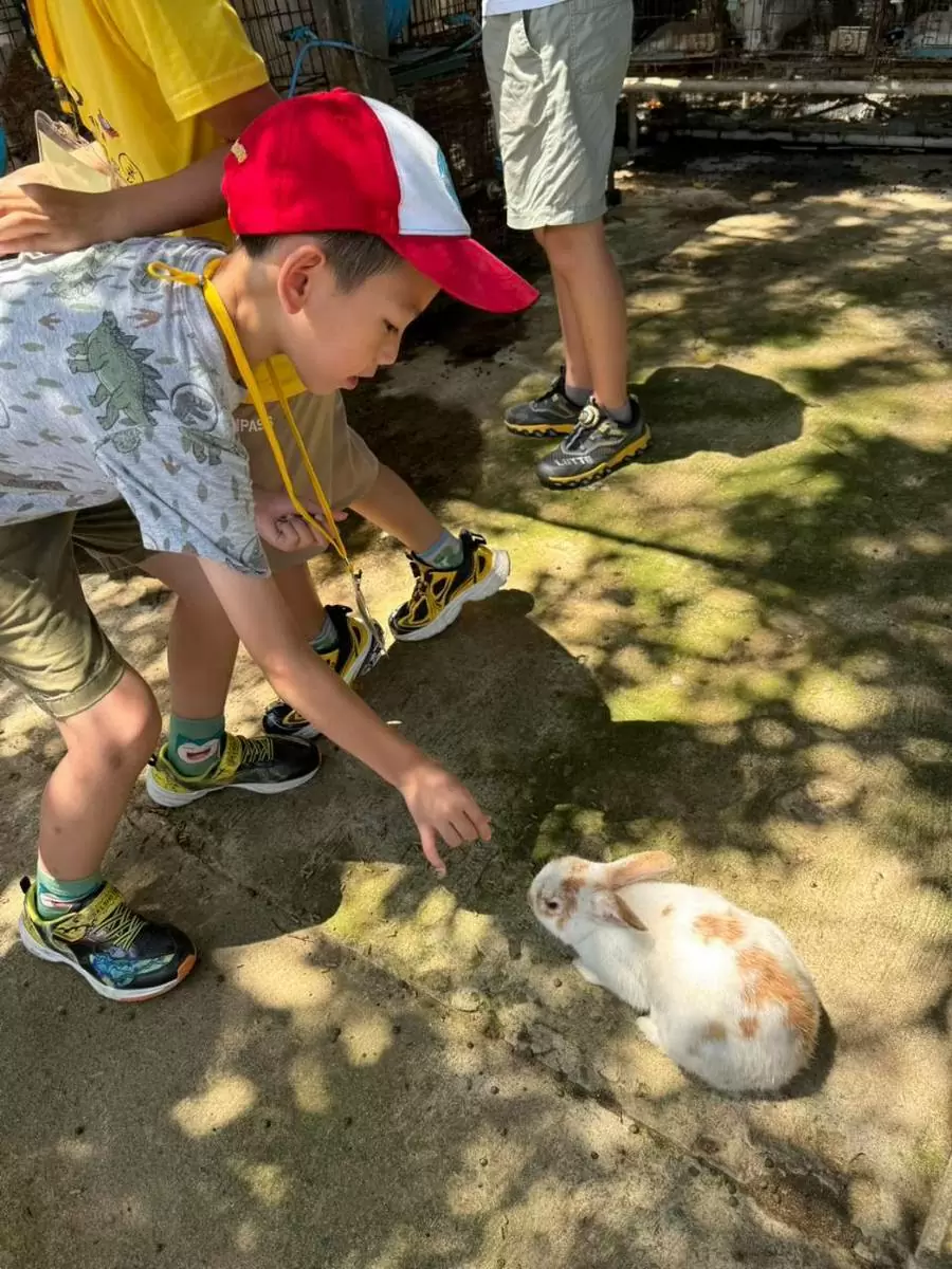 🌞🎉【國小夏令營|溝貝休閒農莊冒險趣】🐰🌿 🌞🎉【國小夏令營|溝貝休閒農莊冒險趣】🐰🌿