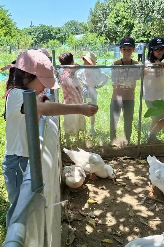 🌞🎉【國小夏令營|溝貝休閒農莊冒險趣】🐰🌿 🌞🎉【國小夏令營|溝貝休閒農莊冒險趣】🐰🌿