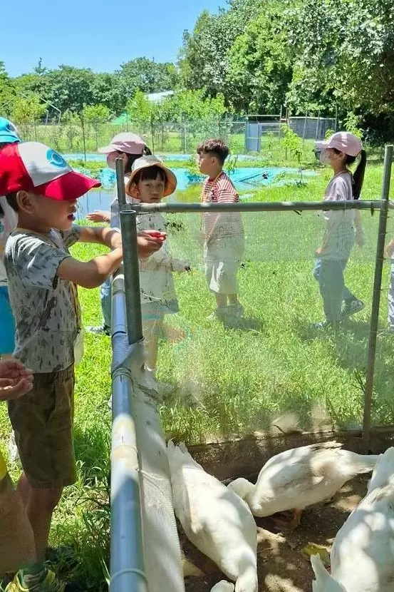 🌞🎉【國小夏令營|溝貝休閒農莊冒險趣】🐰🌿 🌞🎉【國小夏令營|溝貝休閒農莊冒險趣】🐰🌿