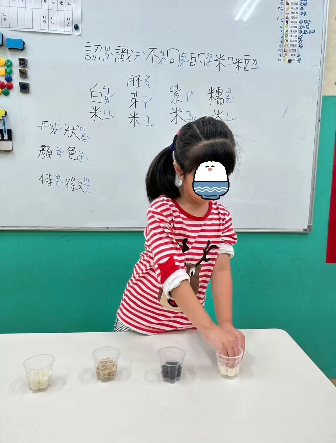 🍚認識大米種類🍚