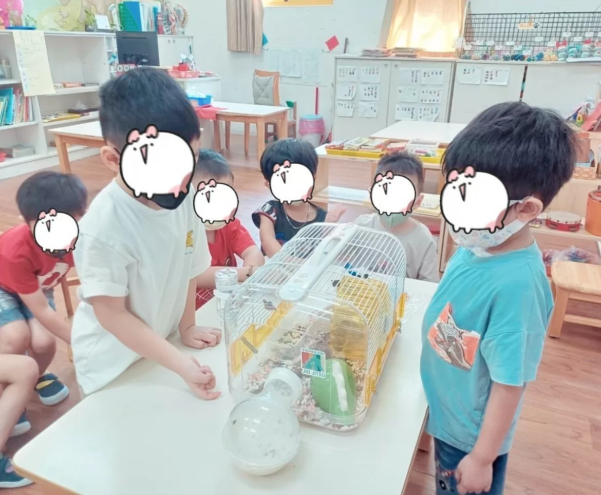 🐹認識倉鼠🐹