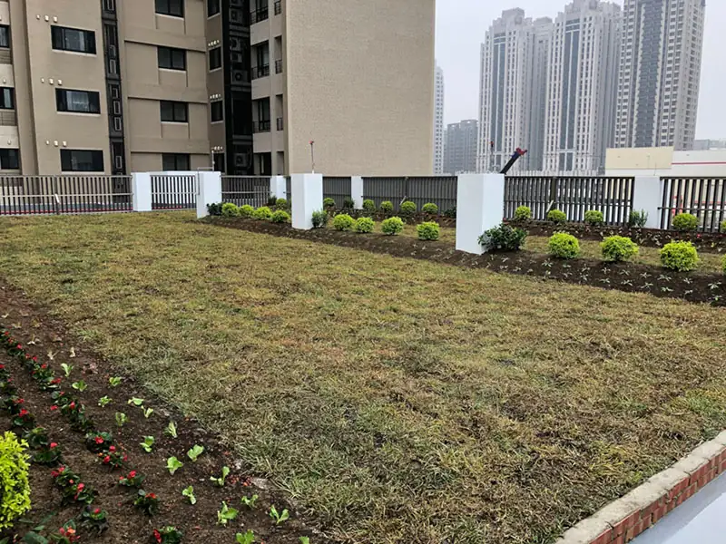 聖奇幼兒園入園名單 (1/24更新) 聖奇幼兒園入園名單 (1/24更新)
