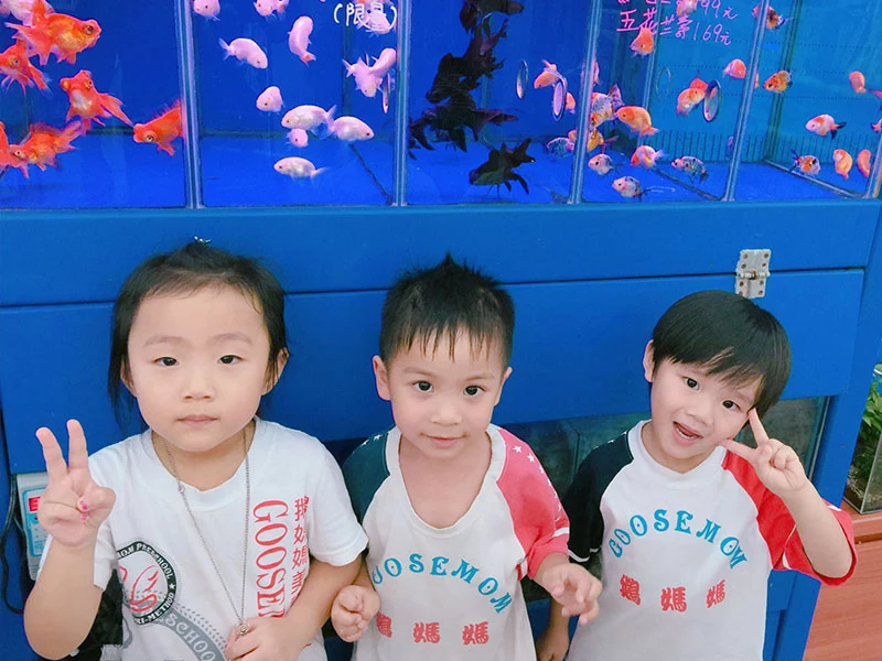 維也納總校8月將新增班級 (名額有限欲報從速)