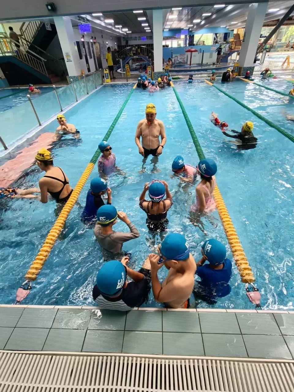🏊跨域科學夏令營-游泳課🏊 🏊跨域科學夏令營-游泳課🏊