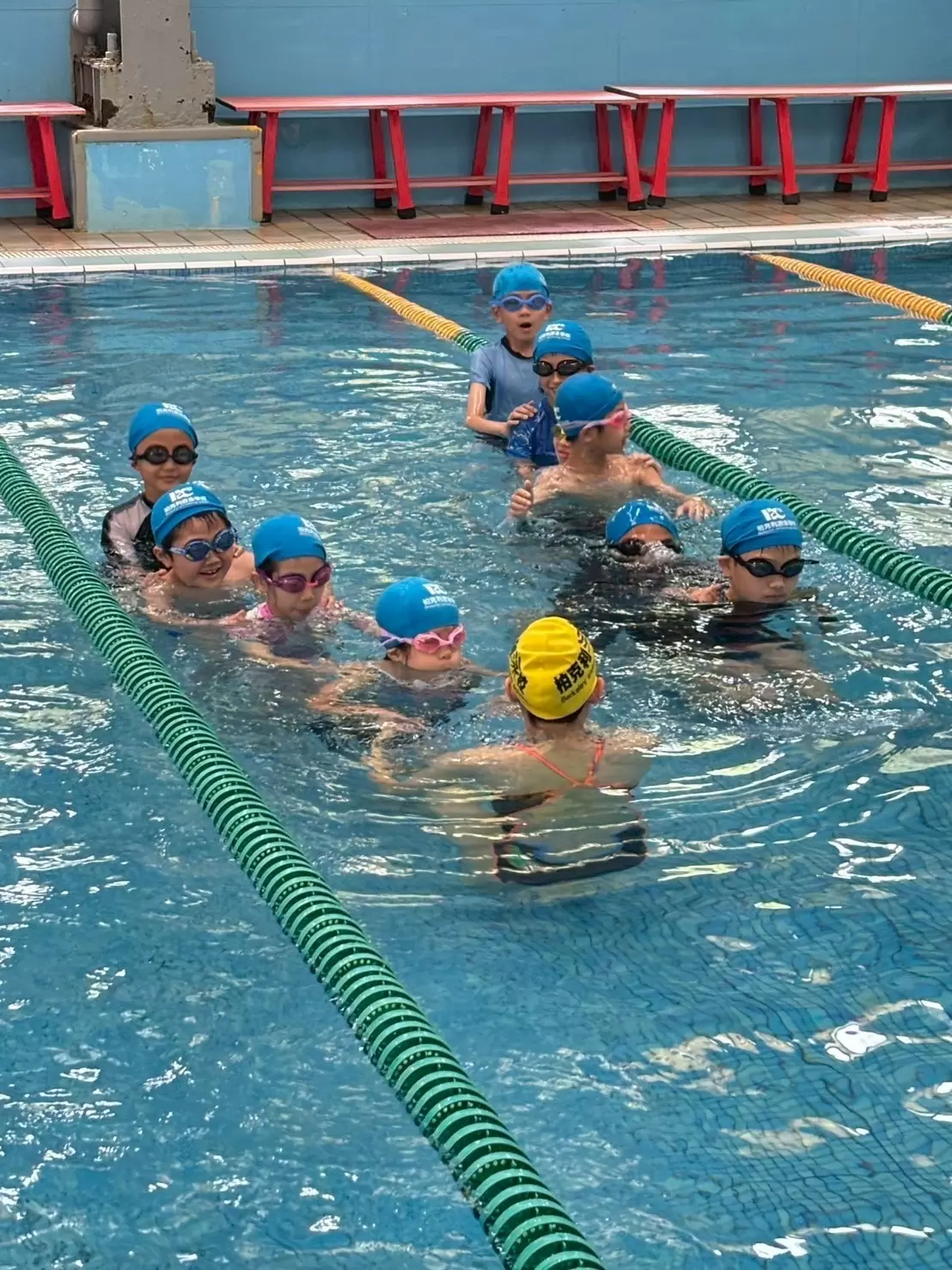 🏊跨域科學夏令營-游泳課🏊 🏊跨域科學夏令營-游泳課🏊