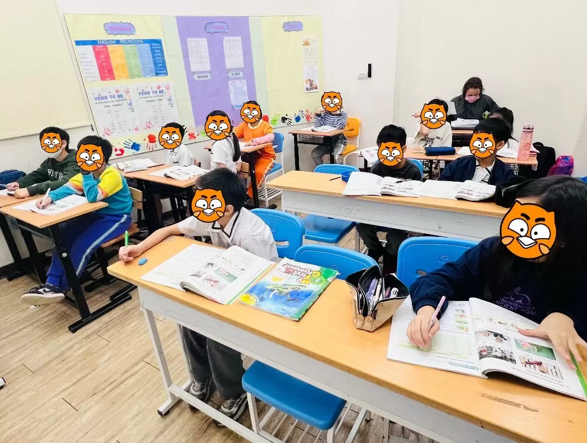 📖英文加強‧隨堂測驗✏️