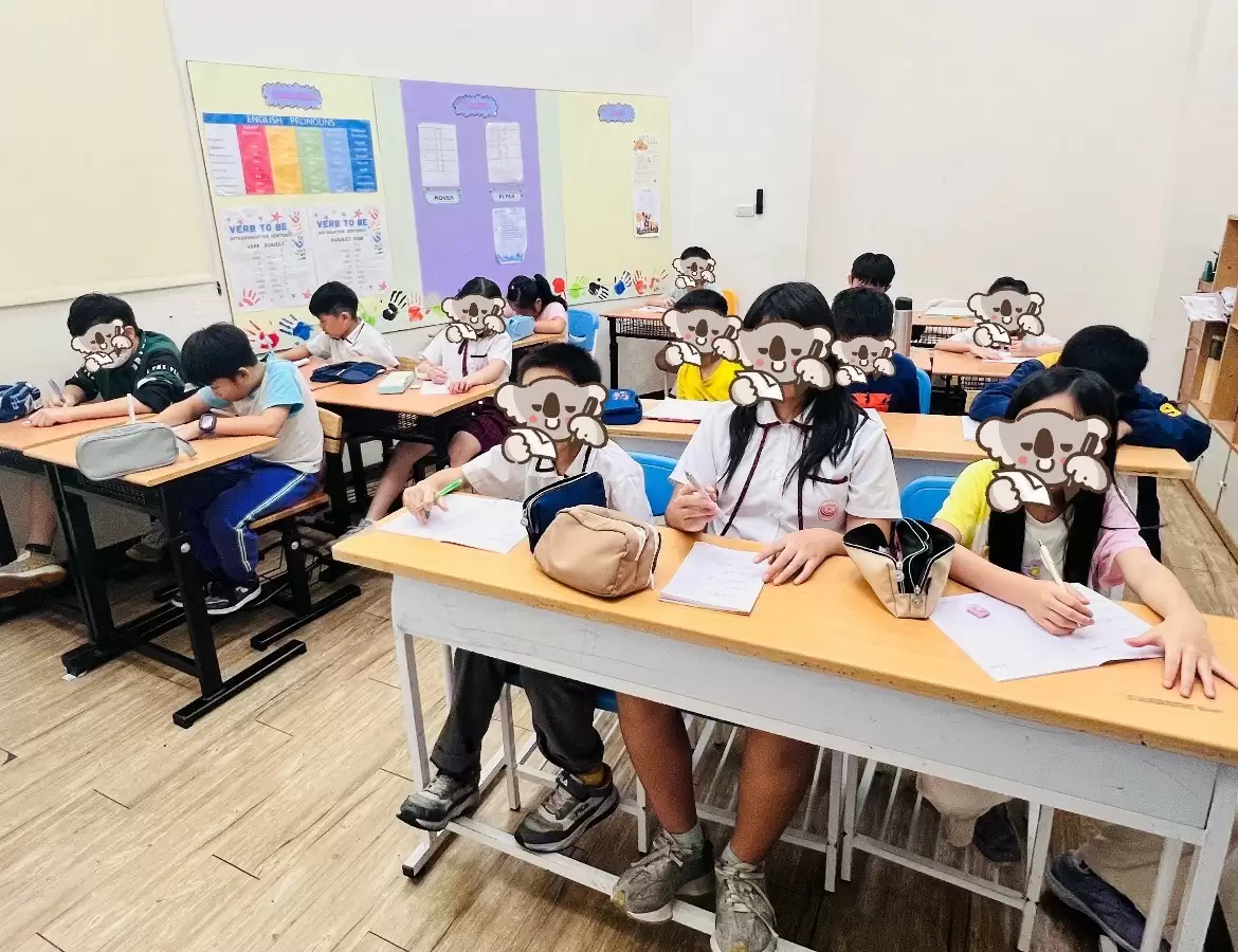 📖英文加強‧隨堂測驗✏️